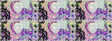 Çiçeksiz desenli nakış işlemeli gelincikler ve vadideki zambaklar. Tekstil tasarımı için doğal ve gri renkte geleneksel halk çiçekleri buketi.