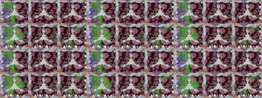 Karşılama ya da düğün geçmişi olarak kullanılabilir. Paket kağıdı için en iyisi. Doğal kozmetik ürünleri, parfüm, çiçekçi dükkanı için bahar ihalesi tasarımı. Lale çiçekli, pürüzsüz desen.