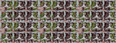 Gri renklerde bahar çiçekleri. Yaprak ve çiçeklerin suluboya resimleri, gri renklerde pürüzsüz desenler. Raster illüstrasyonu.