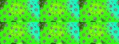 Moda arka planında parlak buketler. Eski usul küçük çiçekli şirin bir eskiz deseni. Kumaş, duvar kağıdı ve kağıt üzerine baskı yapmak için gelişen arka plan. Raster illüstrasyonu.