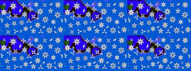 Kızılderili desenli desenli desenli şal deseni. Etnik Mandala süsü. Raster Henna dövme stili. Tekstil, tebrik kartı, boyama kitabı, telefon kılıfı baskısı için kullanılabilir.