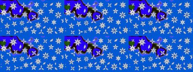 Kızılderili desenli desenli desenli şal deseni. Etnik Mandala süsü. Raster Henna dövme stili. Tekstil, tebrik kartı, boyama kitabı, telefon kılıfı baskısı için kullanılabilir.