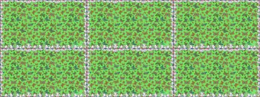 Yeşil ve kahverengi arka planda izole edilmiş web tasarımı için renk ana hatlı kelebek raster seti. Kelebek. Kusursuz..