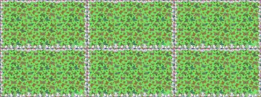 Yeşil ve kahverengi arka planda izole edilmiş web tasarımı için renk ana hatlı kelebek raster seti. Kelebek. Kusursuz..