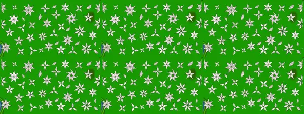 Raster illüstrasyonu. 3D çiçekler, eskiz. Yeşil renklerde.