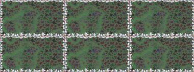 Güzel, pürüzsüz kelebek yineleme dokusu kontrastlı sırt katmanında izole edilmiş. Doğa kelebeği temayı yeşil ve gri renklerle tekrarlıyor. Raster illüstrasyonu. Korunmak için vahşi yaşam böcekleri arka planı.