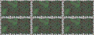 Kelebek. Kusursuz. Yeşil ve gri arkaplanda izole edilmiş web tasarımı için renk çizgisi düzenleyici.