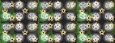 Farklı kar taneleri toplayıcısı, gri, yeşil ve nötr renklerde kış elementleri. Raster Noel soyut renkli arkaplan ve tatlı kar tanesi.