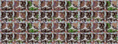 Manzaralı çiçek deseni. Üst manzara, yumuşak kahverengi renk. Çiçek kompozisyonu, el boyası, hassas şablon. Sevgililer günü ve tebrik kartı konsepti için şık bir davet.