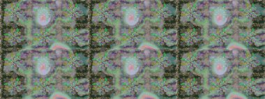 Küçük çiçekte güzel bir desen var. - Gri çiçekler. Çiçek kompozisyonu. Çiçek kolajı. Çiçek arkaplan. Raster deseni. Doğa.