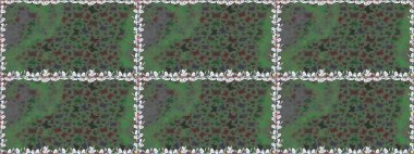 Yeşil soyut suluboya kelebeklerle bezenmiş şeffaf bir arkaplan deseni. Yazdırmayı tekrarla. Raster illüstrasyonu. Sonsuz.