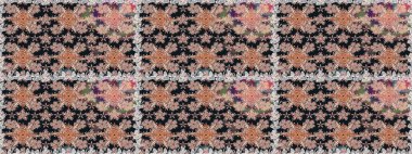 Kızılderili desenli desenli desenli şal deseni. Tekstil, tebrik kartı, boyama kitabı, telefon kılıfı baskısı için kullanılabilir. Raster Henna dövme stili. Etnik Mandala süsü.