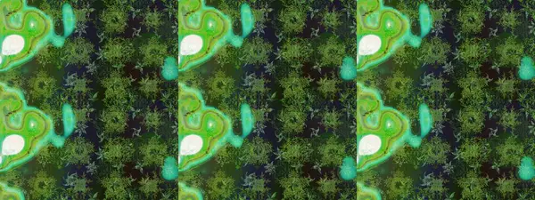 Sabıka fotoğraflarında, bebek kıyafetlerinde, duvar kâğıtlarında, paket kutularında falan kullanılabilir. Zarif, parlak ve eskiz yeşil çiçek deseni tasarımı.