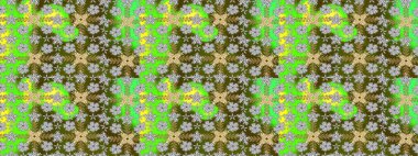 Kıvırcık, parlak örgü. Desen, çizim, çiçek sınırı. Raster illüstrasyonu. Çiçek çelengi. Güzel, parlak, pürüzsüz kumaş, tuval. Klasik eski arkaplan.