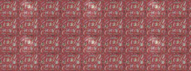 Taslak süsleme izi. Tebrik kartı geçmişi, boyama kitabı, arkaplan ve tekstil için kullanılabilir. Raster Henna tarzı. Sınır Kızılderili çiçekli paisley patten. Etnik Mandala havlusu.