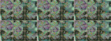 Çiçekli karalama şeklinde Raster çiçek deseni. Nazik, sevimli çiçek arkaplanı. Gri renkli çiçekler.