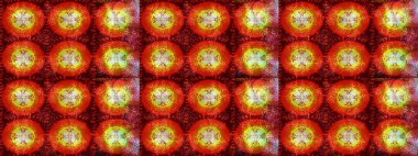 Düz yatıyordu. Kış konsepti Raster illüstrasyonu. Kırmızı, turuncu ve kahverengi renkte kar tanelerinden oluşan kış deseni.