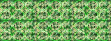 Geleneksel klasik süs. Arabesk ve çiçekli doğu raster desenleri. Arabesk ile klasik desen.