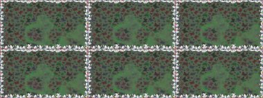 Güve ile Raster Geçmişi. Güzel Kelebek Siluetleriyle Moda Dekorasyonu. Basit Kadınsı Kart, Davetiye, Yazdırma Kalıbı. Kelebeklerle dolu yaz arkaplanı yeşil ve gri renkler.