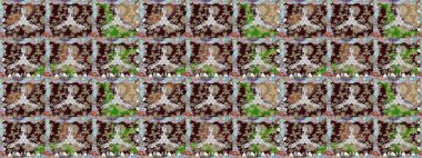 Vadinin çiçekleri kahverengi renklerde. Raster dikişsiz çiçek deseni.