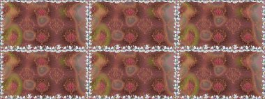 Egzotik çiçekler, kahverengi renklerde botanik, parlak, klasik bir doğa. Klasik tropikal doğal elementlerin suluboya seti. Raster illüstrasyonu.