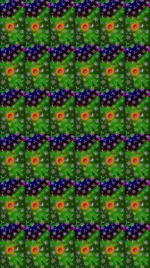 Kumaş, tekstil, duvar kağıdı baskısı için. Raster illüstrasyonu. Eskiz geçmişi. Tomurcukları papatya çiçekleri olan sevimli bir çiçek deseni. Eski usul. Miles Fleur, dandik süs.