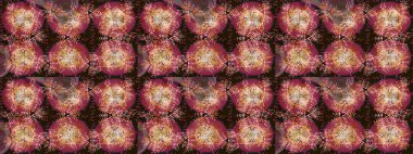 Raster illüstrasyonu. Folk Style. Lace Snowflakes 'in etnik kökü. Tekstil için Lacy Fashion Print. Kumaş veya Duvar Kağıdı Tasarımı. Mandalas 'ın dekoratif dokusu. Şekillendirilmiş Çiçekler.