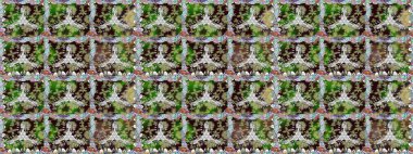 Tarafsız renklerde çiçekler. Kusursuz çiçek deseni duvar kâğıdı olarak kullanılabilir. Raster illüstrasyonu.