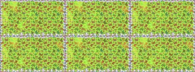 Yeşil arka planda izole edilmiş web tasarımı için renk çizgisi raster seti. Kusursuz. Kelebek.