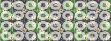 Yeşil, nötr ve gri renkte çiçekler. Nazik, narin çiçek arkaplanı. Raster çiçek desenli ve çiçekli..