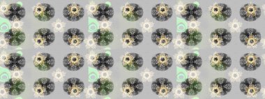 Raster illüstrasyonu. Raster kar tanesi ikonu. Renkli arka planda kar taneleri. Kar tanesi ikonu, izole edilmiş. Düz tasarım.