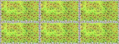 Raster illüstrasyonu. Yeşil ve sarı arka planda kelebek. Davetiye, kart ve parmak izi için basit kadınsı bir model. Kusursuz..