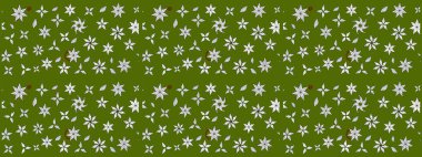 Raster - stok. Eskiz arkaplan modeli. Yapraklı çiçekler ve yeşil ve nötr renklerde papatya çiçekleri..