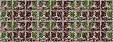 Dekorasyon ve tasarım için güzel bir desen. Ton halinde. Suluboya desensiz çiçek buketi. Çiçeğin suluboya çizimlerinin mükemmel deseni. Moda yazdırma.