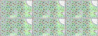 Klasik tarzda hem de. Doğa kelebeğinin yüksek kalitesi. Raster illüstrasyonu. Su rengi filtre etkisindeki nötr resimler.