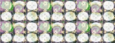 Kar taneleri radyal nötr, gri ve bej renkler. Renkli arka planda güzel kar taneleri. Raster illüstrasyonu..