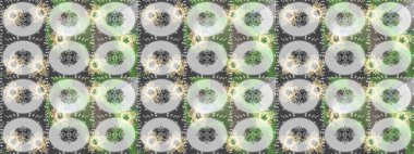 Çiçekli karalama şeklinde Raster çiçek deseni. Yeşil, gri ve nötr renklerde çiçekler. Nazik, sevimli çiçek arkaplanı..