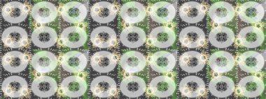 Çiçekli karalama şeklinde Raster çiçek deseni. Yeşil, gri ve nötr renklerde çiçekler. Nazik, sevimli çiçek arkaplanı..