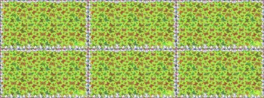 Raster. Yeşil ve sarı arka planda güzel renkli kelebek. Kelebek tasviri. Sırtın için parlak bir dövme. Tropik gerçekçi kelebek.