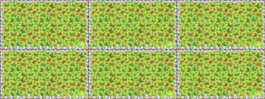 Raster. Yeşil ve sarı arka planda güzel renkli kelebek. Kelebek tasviri. Sırtın için parlak bir dövme. Tropik gerçekçi kelebek.