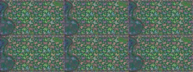 Güzel, pürüzsüz kelebek yineleme dokusu kontrastlı sırt katmanında izole edilmiş. Korunmak için vahşi yaşam böcekleri için arka plan. Raster illüstrasyonu. Doğa kelebeği temayı mavi ve gri renklerle tekrarlar.