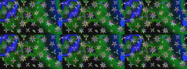 Küçük çiçekte güzel bir desen. Küçük renkli çiçekler. Moda baskıları için zarif bir şablon. Motley illüstrasyonu. Çiçekli bahar çiçekleri.