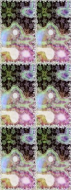 Tişörtsüz arka plan deseni. Tarafsız renklerde çiçekler. Tropik çiçekler.