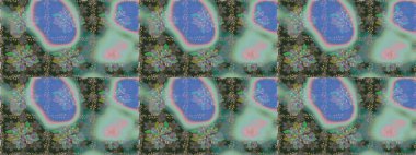 Moda baskıları için zarif bir şablon. Halk tarzı. Parlak renkli çiçekleri ve gri ve mavi renklerde yaprakları olan şaşırtıcı, pürüzsüz çiçek deseni. Modern çiçek arkaplanı.