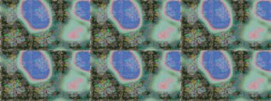 Moda baskıları için zarif bir şablon. Halk tarzı. Parlak renkli çiçekleri ve gri ve mavi renklerde yaprakları olan şaşırtıcı, pürüzsüz çiçek deseni. Modern çiçek arkaplanı.