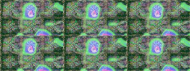 Small colorful flowers. The elegant the template for fashion prints. Motley illustration. Raster cute pattern in small flower. Spring floral background with flowers.