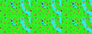 Düz Çiçek Elementleri Tasarımı. Çiçek deseni. Renkli Bahar Teması eskiz kalıbı. Chichi 'nin kumaş kalıbını çiz. Raster illüstrasyonu.