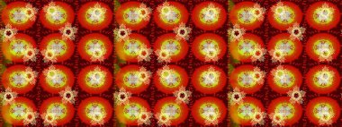 Turuncu, kırmızı ve kahverengi renkte yaz çiçekleri. Çiçekli karalama şeklinde Raster çiçek deseni. Raster illüstrasyonu.