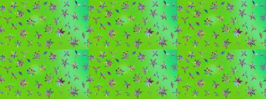 Hediye ambalaj kağıdı, tebrik kartları, posterler ve pankart tasarımı. Yeşil ve mavi renkte çiçekler. Raster düz çiçek çizim deseni.