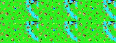 Suluboya desenli çiçek deseni. Dekorasyon ve tasarım için güzel bir desen. Moda baskısı. Çiçeğin suluboya çizimlerinin mükemmel deseni. Ayarlanmış.